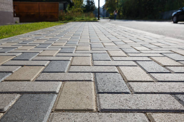 Best Driveway Paving Contractor  in La Fayette, AL